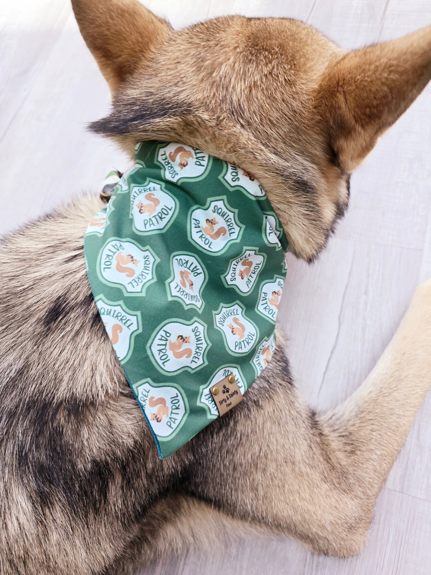 Squirrel Patrol Reversible Scrunchie Dog Bandana