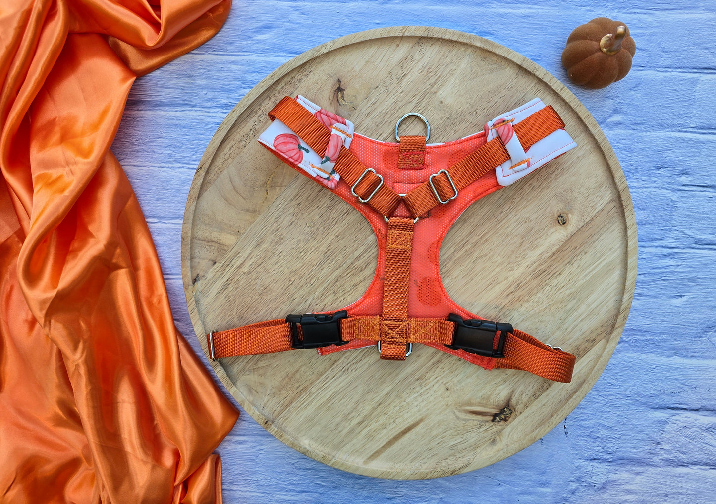 Pumpkin Toss Adjustable Neoprene Dog Chest Harness | 4-Point Adjustable Walking Harness