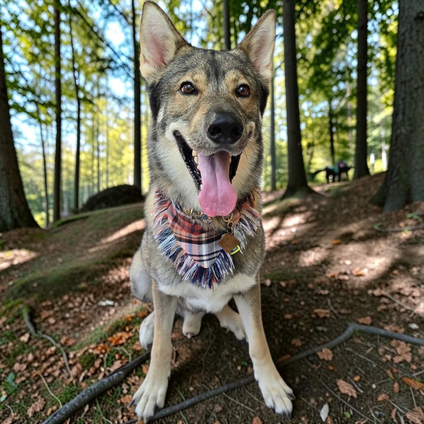 Hand-Fringed Fall Scrunchie Dog Bandanas