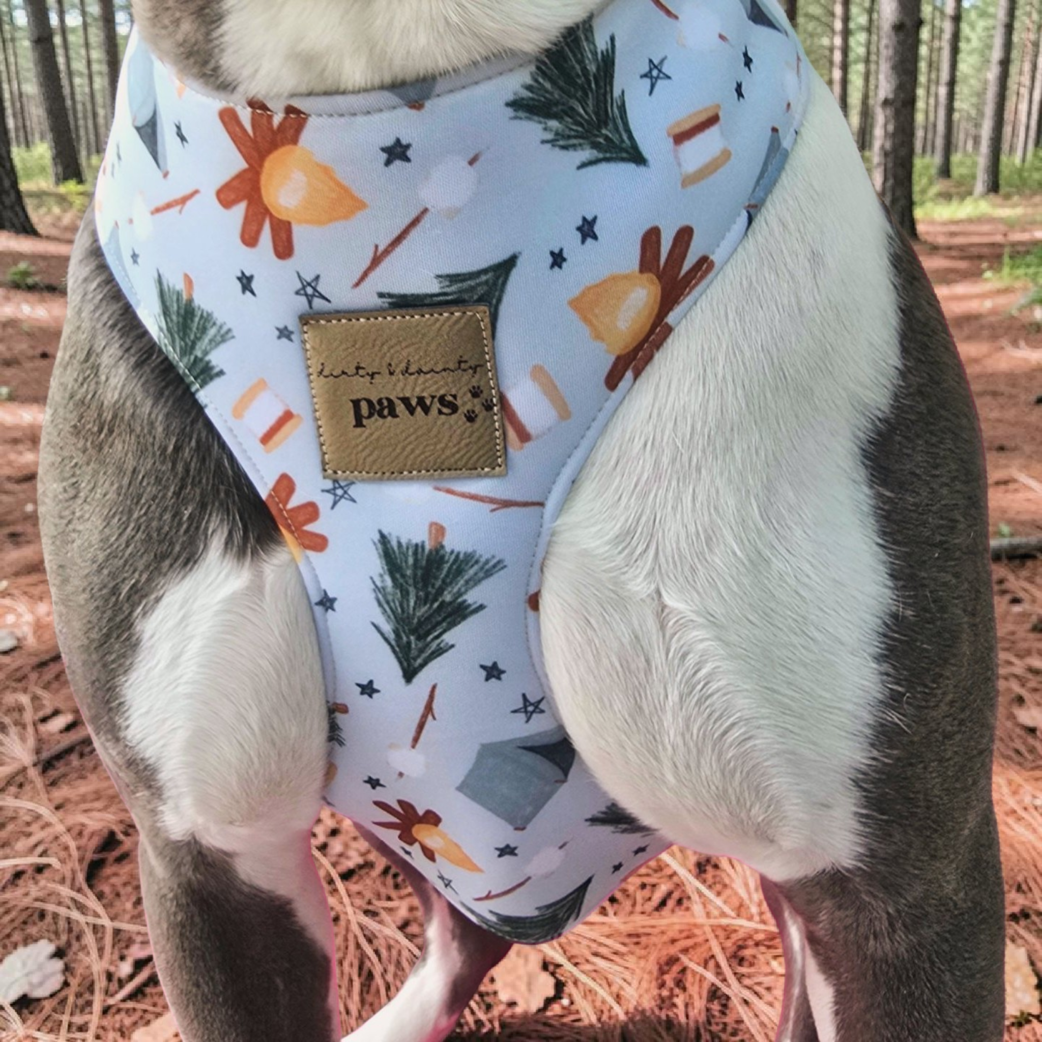 dog wearing a watercolor camping print