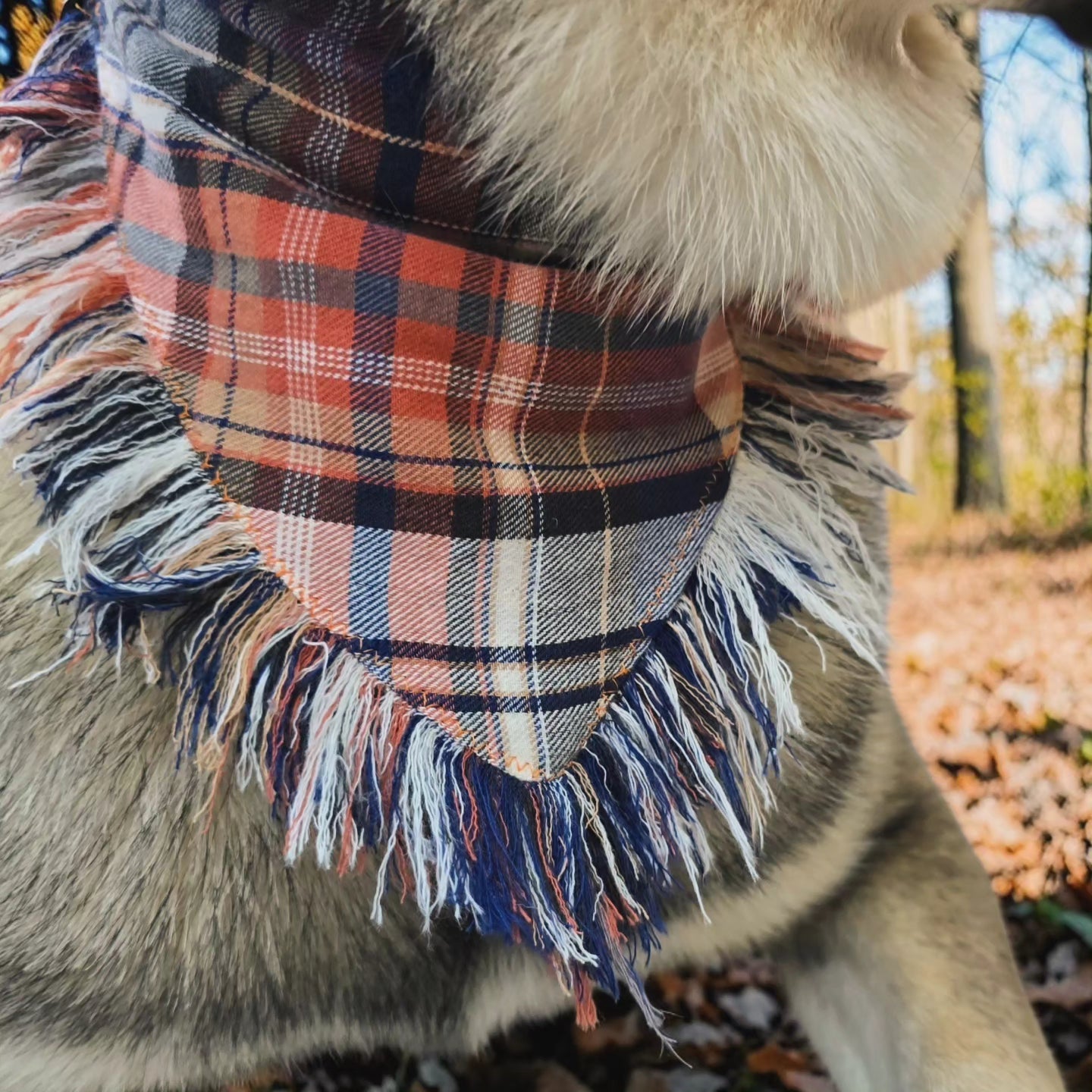 Hand-Fringed Fall Scrunchie Dog Bandanas