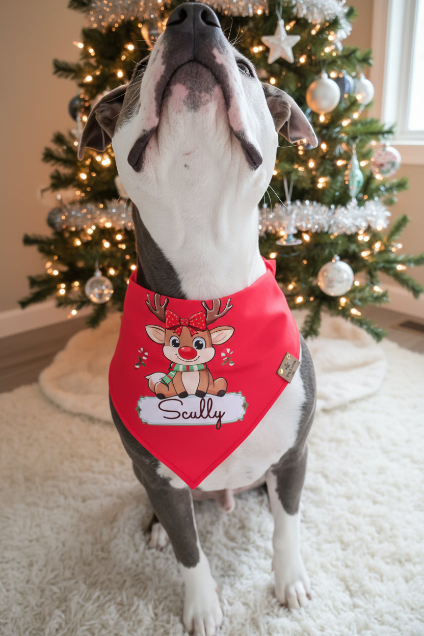 Dog wearing a red bandana with a reindeer design in front of a Christmas tree.