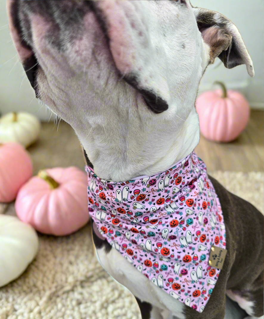 Cutesy Ghosts| Halloween Stripe ZoomieProof™ Reversible Scrunchie Bandana