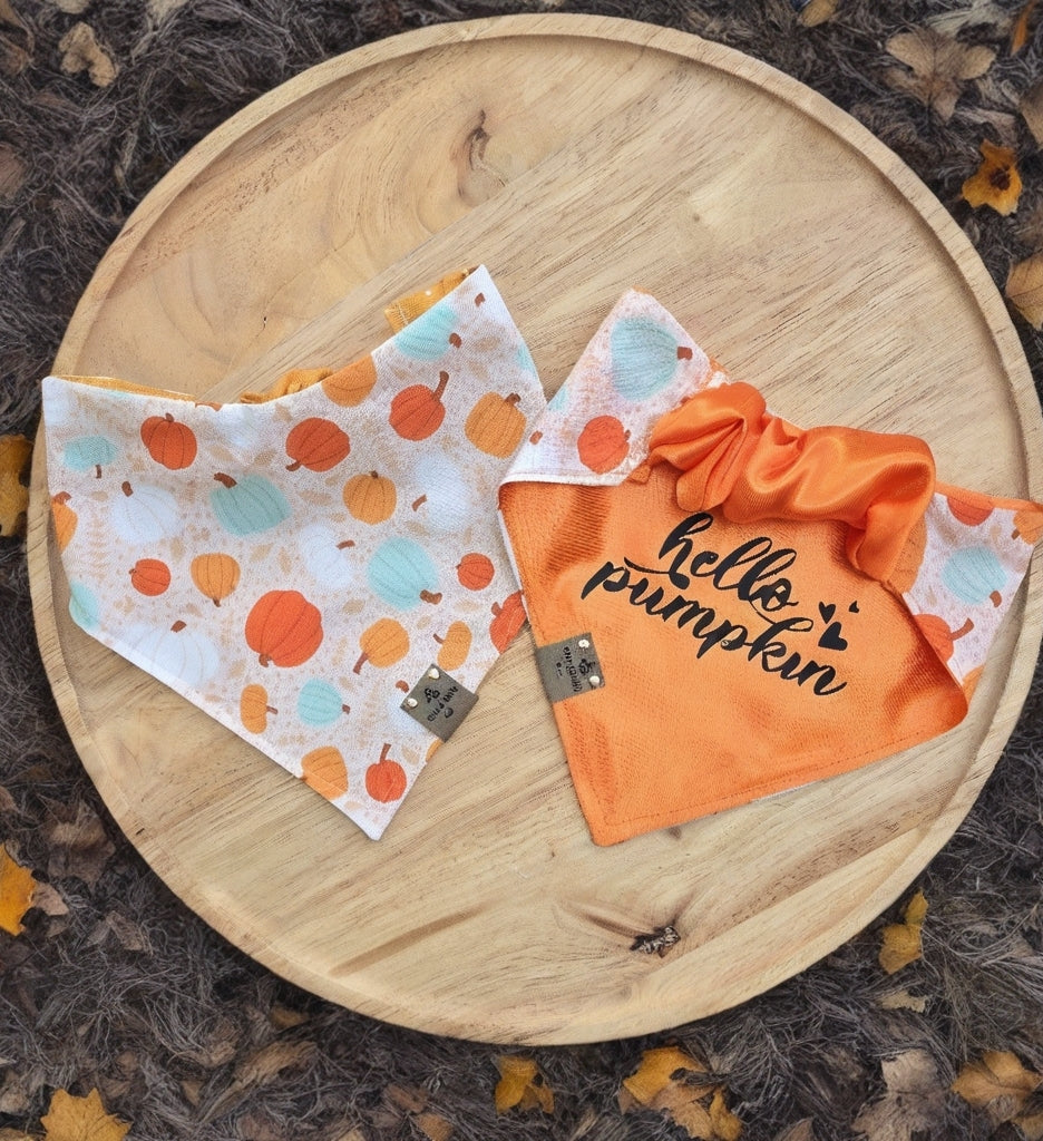 Boho Pumpkins| Hello Pumpkin| Dots| Cozy Cotton Reversible Scrunchie Dog Bandana