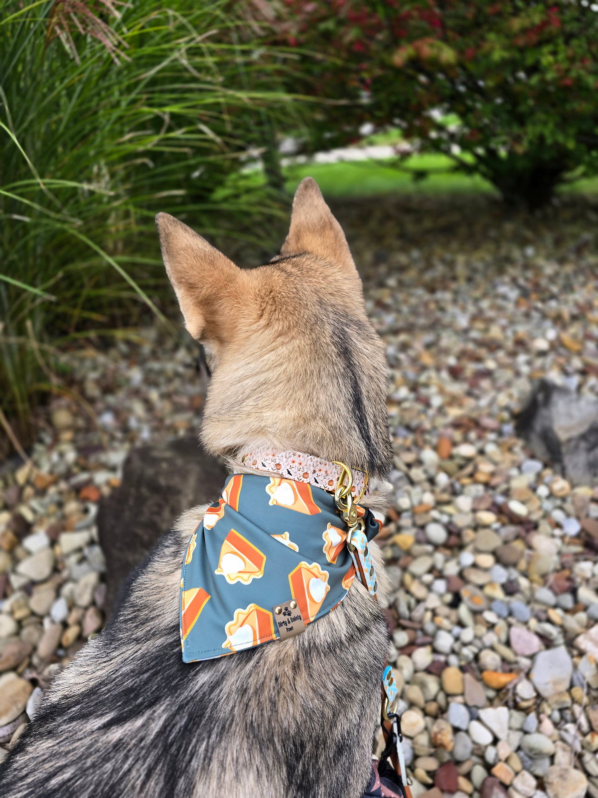Pumpkin Pie Activewear Reversible Scrunchie Dog Bandana
