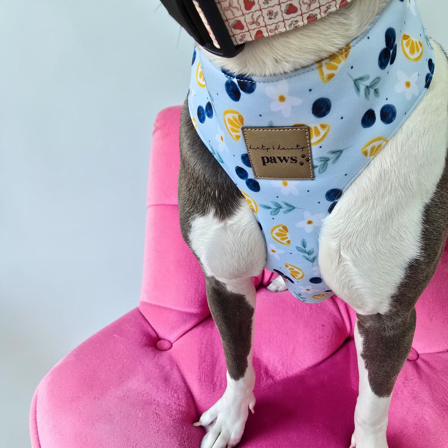 Blueberries and Lemons Neoprene Chest Harness Water Resistant