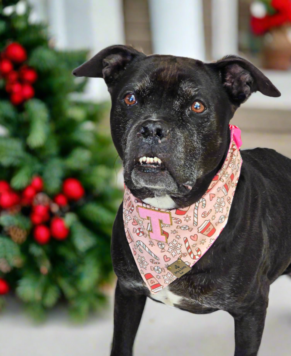 Custom Letter Iron-On Patches for Personalized Pet Bandanas