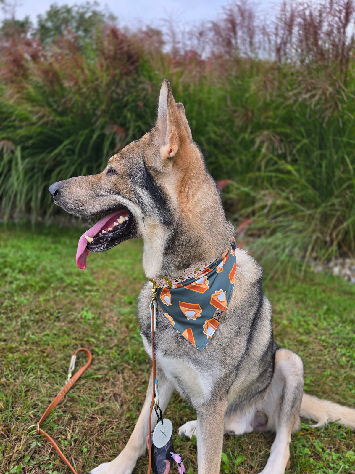 Pumpkin Pie Activewear Reversible Scrunchie Dog Bandana