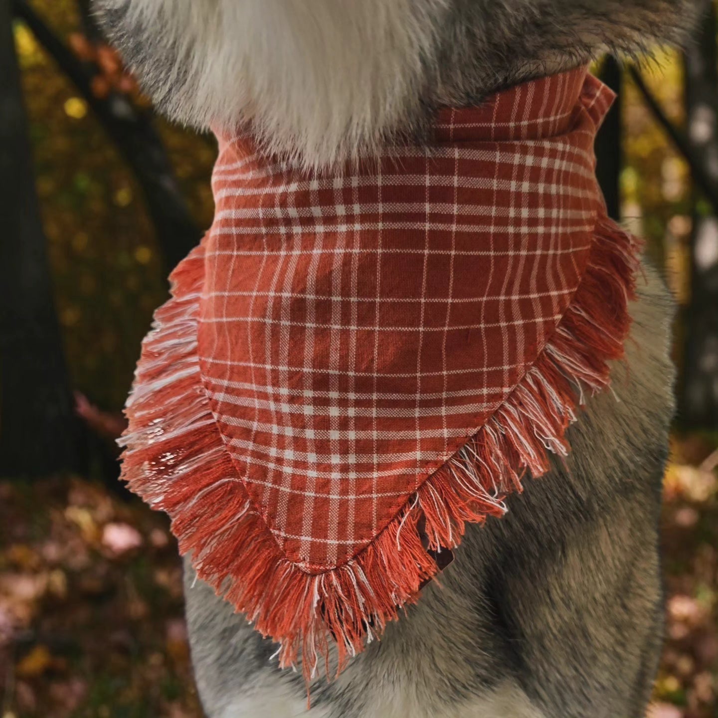 Hand-Fringed Fall Scrunchie Dog Bandanas