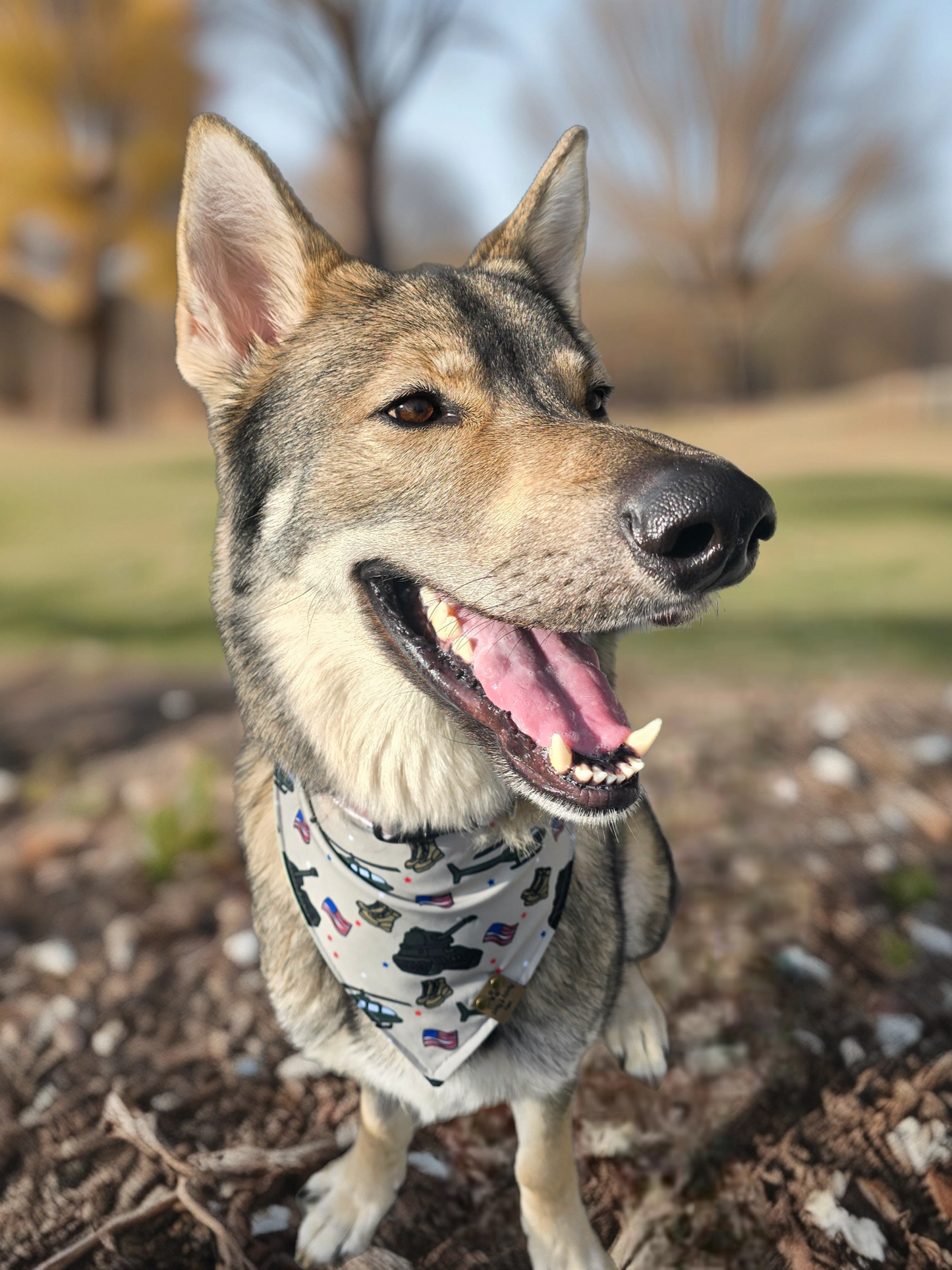 Military Reversible Scrunchie Dog Bandana – 100% Donated to Warrior Dog Foundation