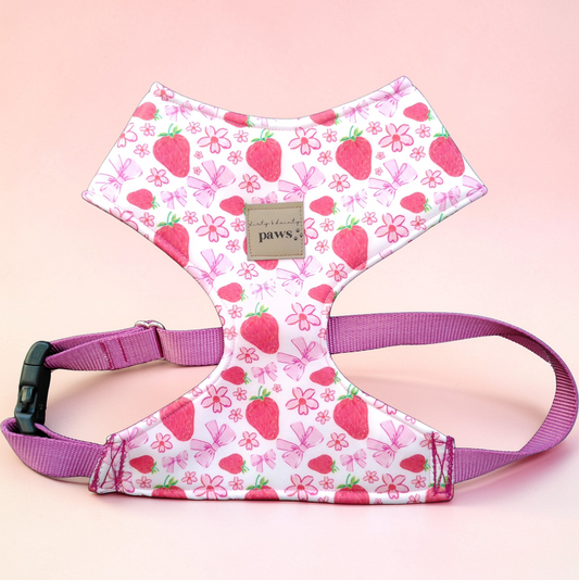 Strawberry and bows  print adjustable neoprene dog harness with pink straps