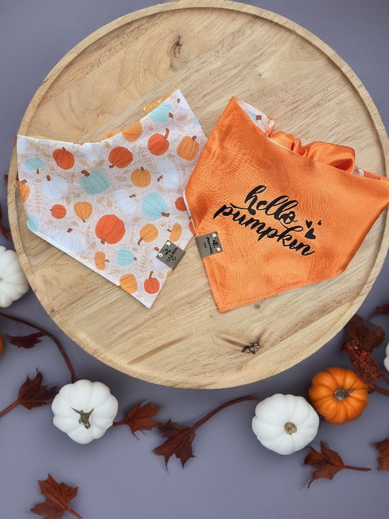 Boho Pumpkins| Hello Pumpkin| Dots| Cozy Cotton Reversible Scrunchie Dog Bandana