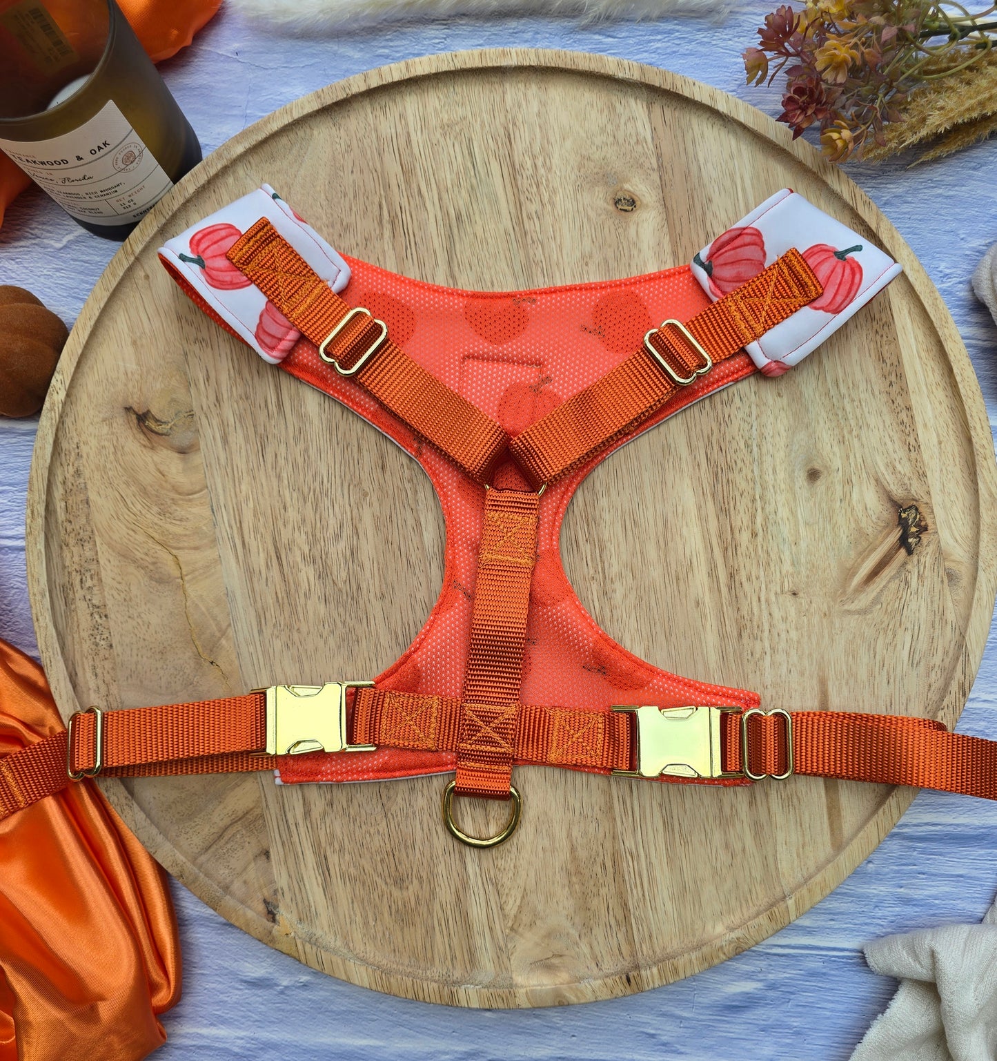 Pumpkin Toss Adjustable Neoprene Dog Chest Harness | 4-Point Adjustable Walking Harness