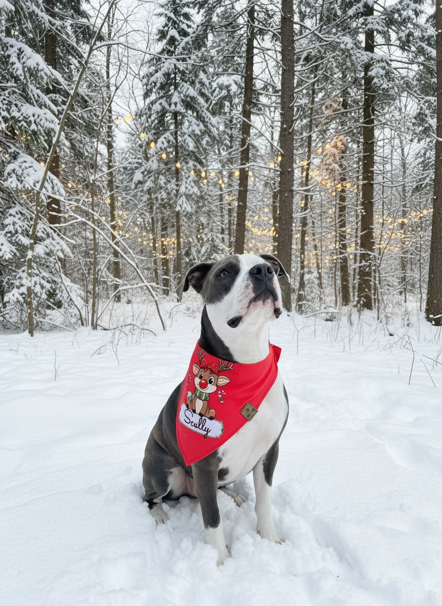 Dog wearing a red bandana with reindeer designs in a snowy forest.