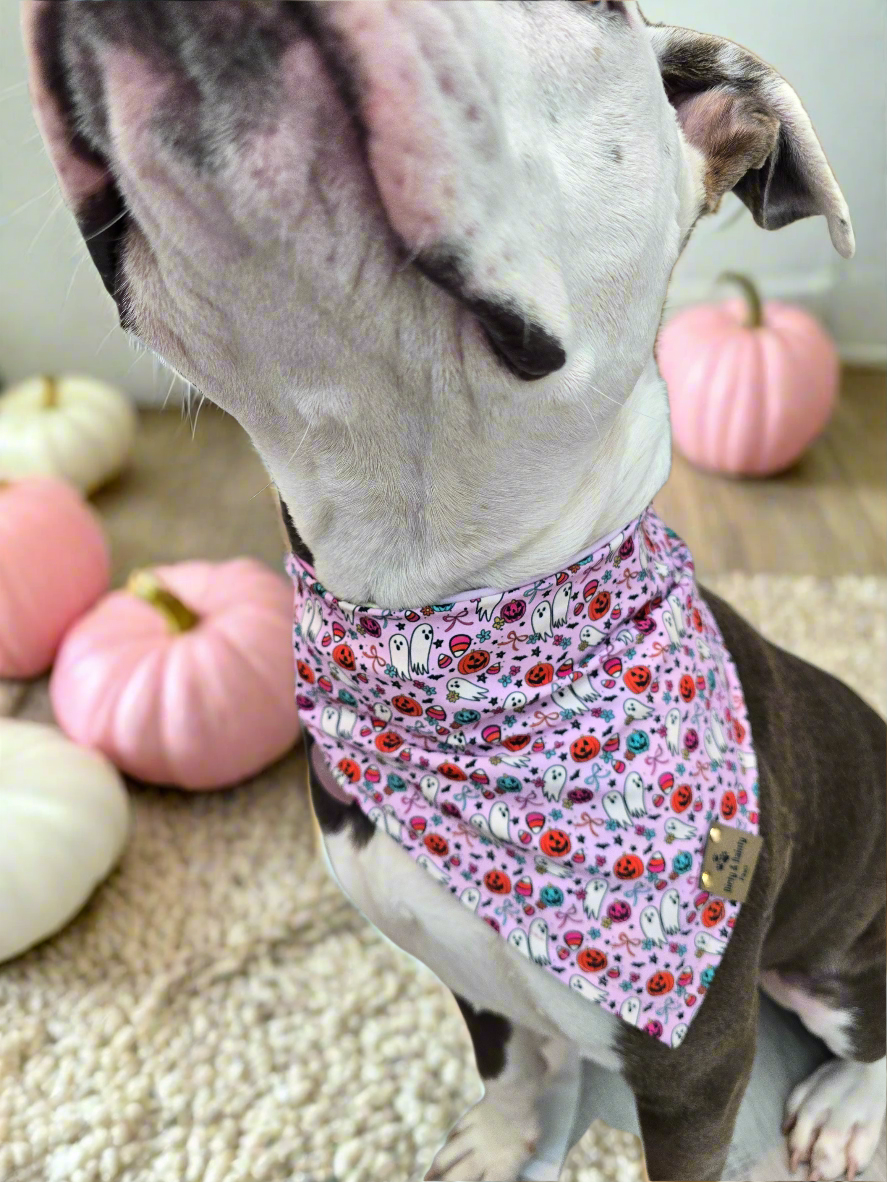 Cutesy Ghosts| Halloween Stripe ZoomieProof™ Reversible Scrunchie Bandana
