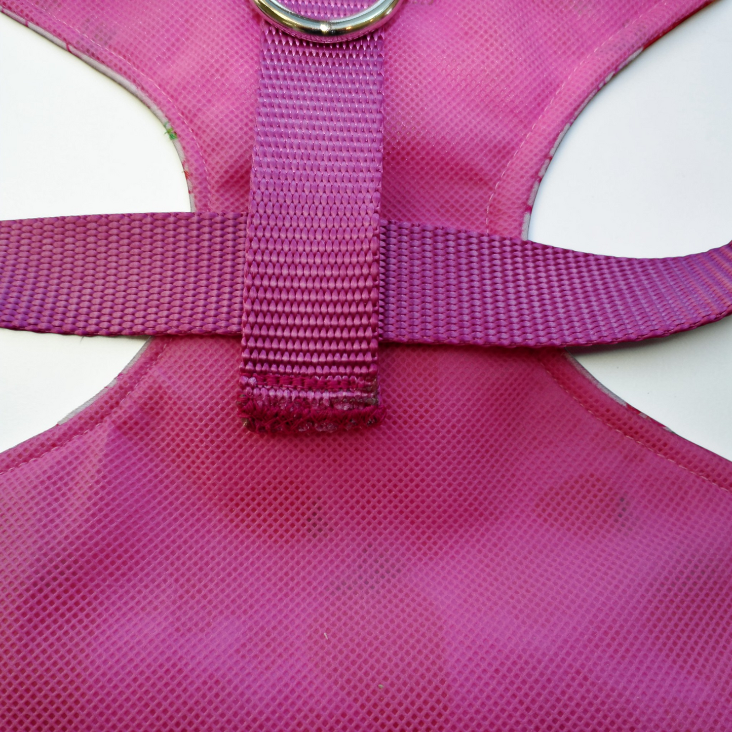 Strawberry & Bows Dog Harness – Adjustable Neoprene Dog Harness with Pink Webbing