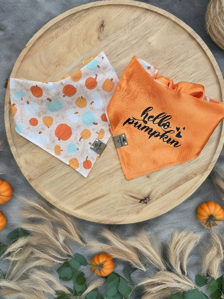 Boho Pumpkins| Hello Pumpkin| Dots| Cozy Cotton Reversible Scrunchie Dog Bandana