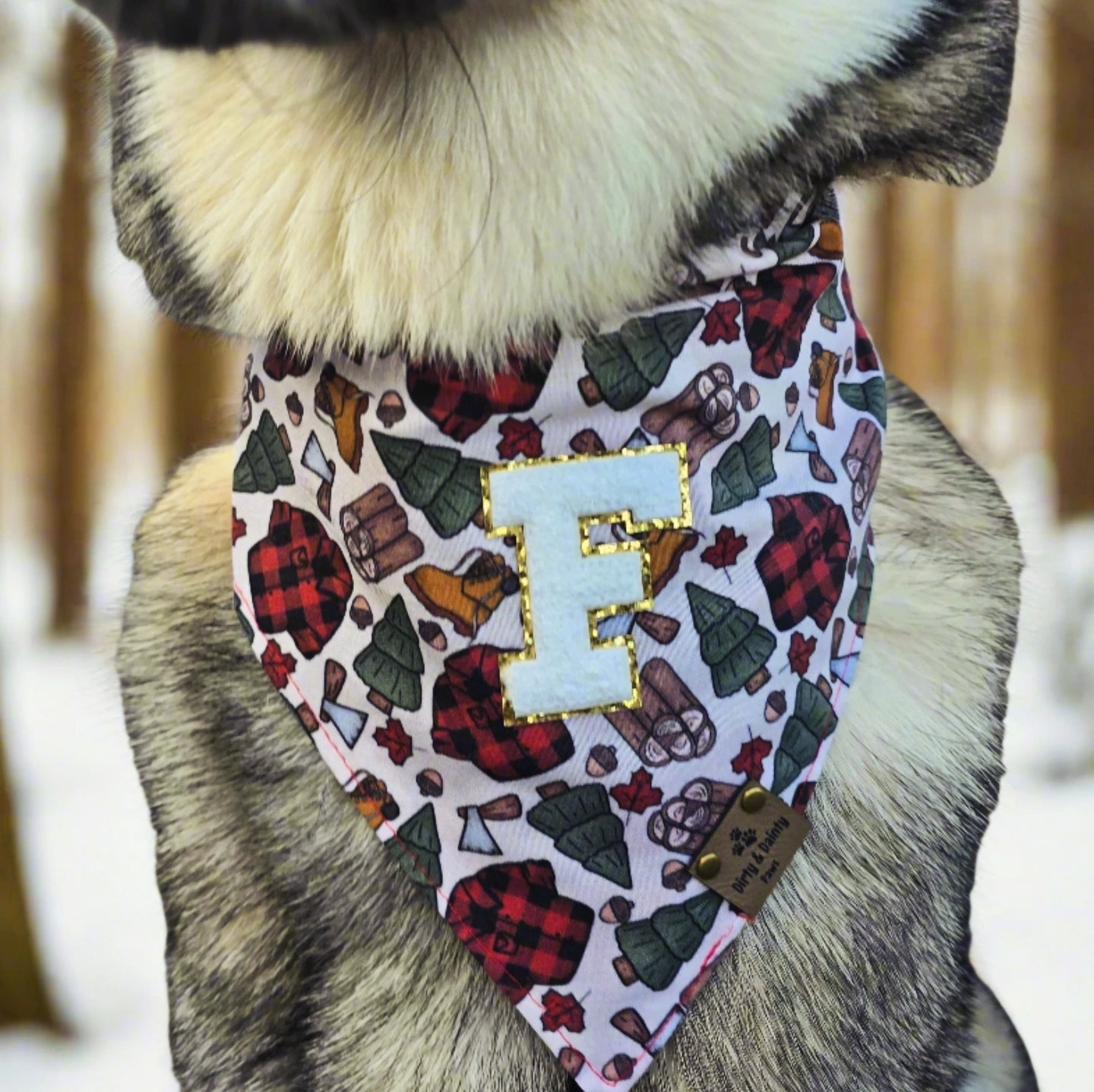 Custom Letter Iron-On Patches for Personalized Pet Bandanas