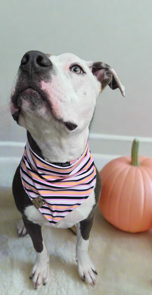 Cutesy Ghosts| Halloween Stripe ZoomieProof™ Reversible Scrunchie Bandana