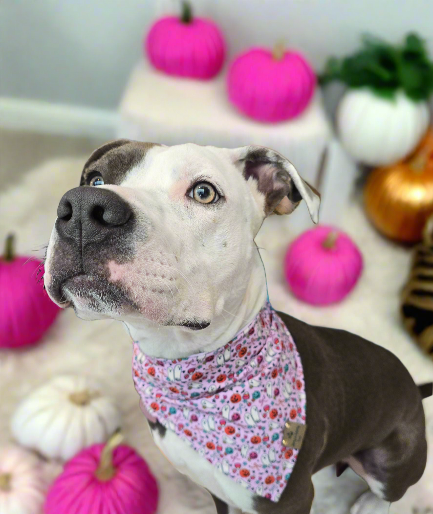 Cutesy Ghosts| Halloween Stripe ZoomieProof™ Reversible Scrunchie Bandana