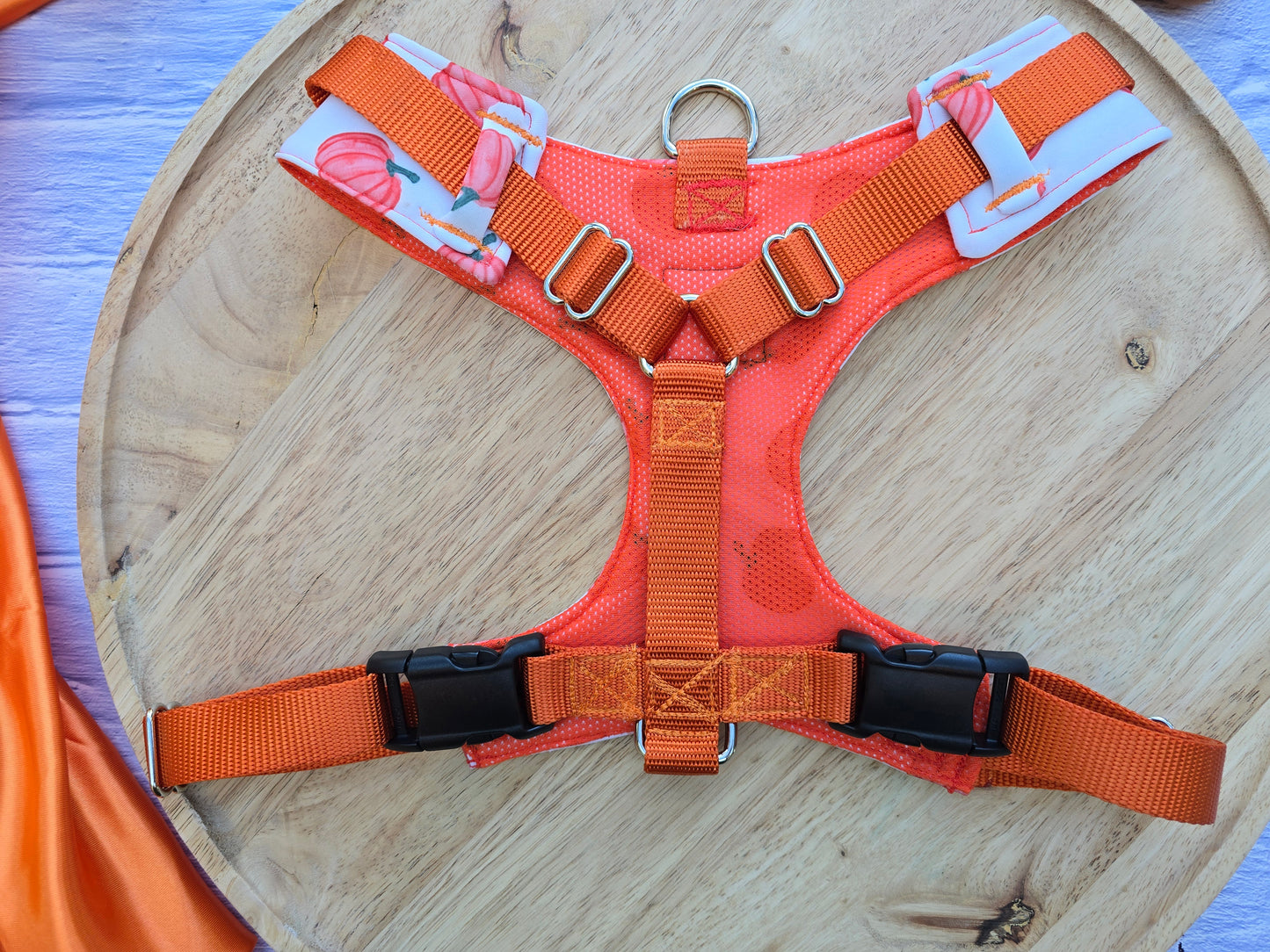 Pumpkin Toss Adjustable Neoprene Dog Chest Harness | 4-Point Adjustable Walking Harness