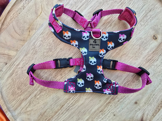 Skulls Adjustable Neoprene Dog Chest Harness | 4-Point Adjustable Walking Harness