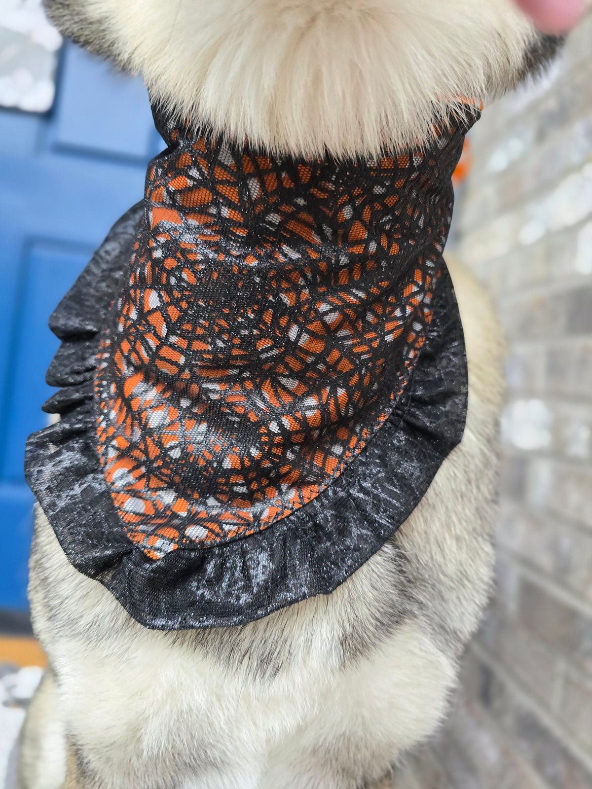 Polka Dots and Lacey Spiderwebs Ruffle Reversible Scrunchie Dog Bandana