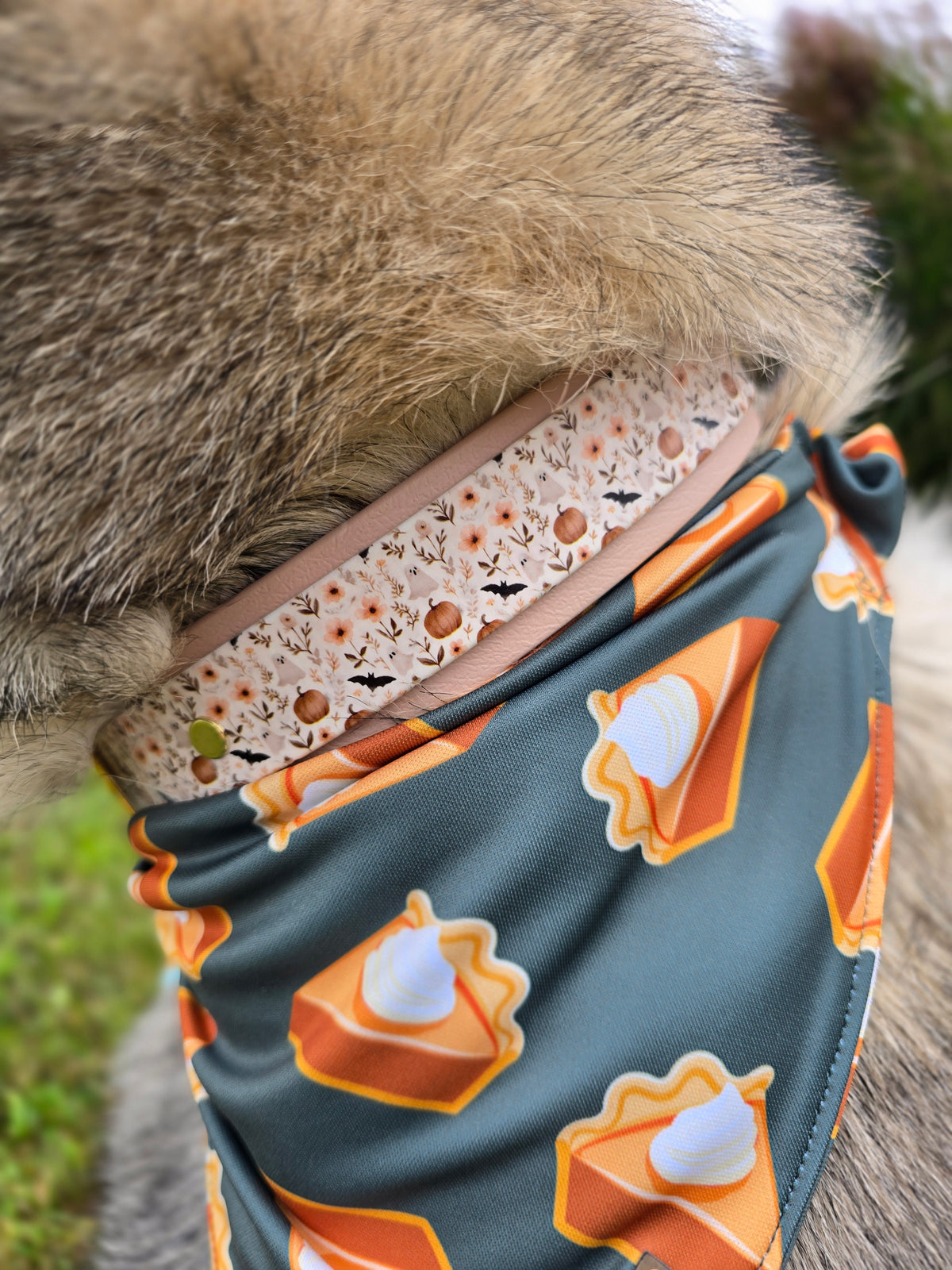Ghost Garden Double Layer Biothane Dog Collar – Waterproof Stinkproof