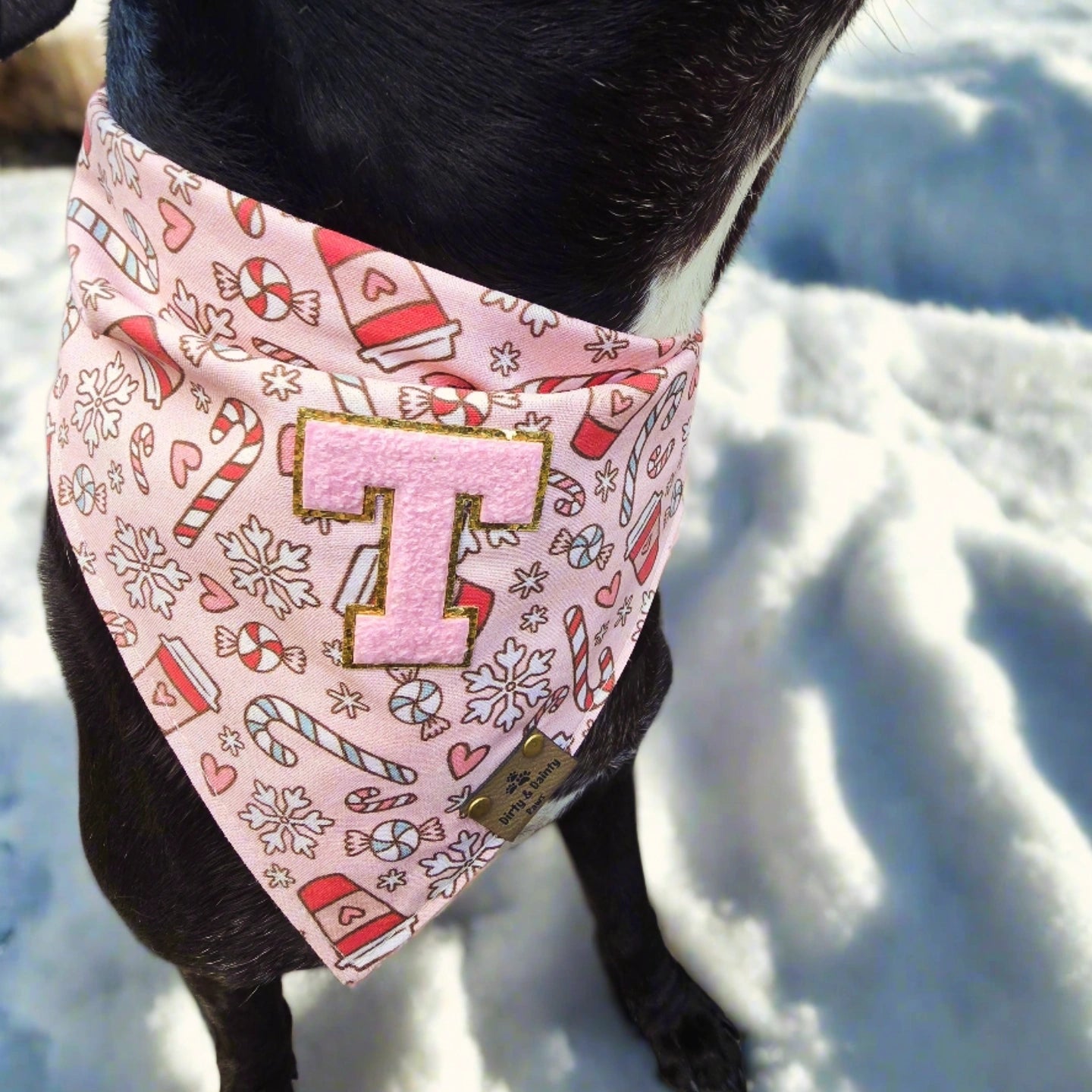 Custom Letter Iron-On Patches for Personalized Pet Bandanas