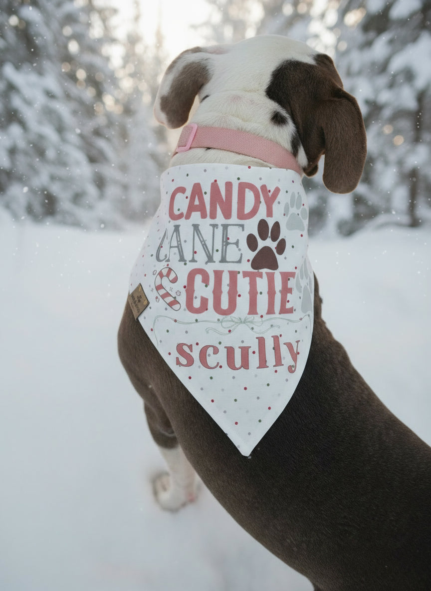 Dog wearing a bandana with saying "Candy Cane Cutie" in the snow
