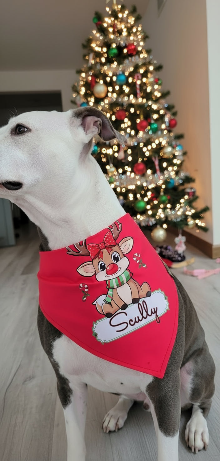 Dog wearing a red bandana with a reindeer design in front of a decorated Christmas tree.