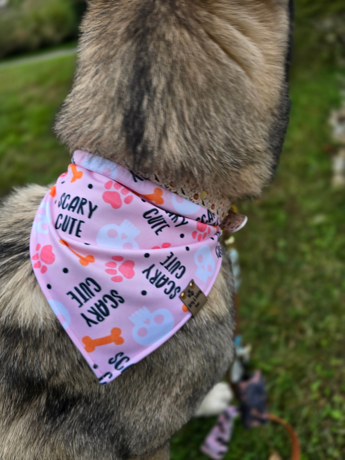 Scary Cute | Spooky Bones Activewear Reversible Scrunchie Dog Bandana