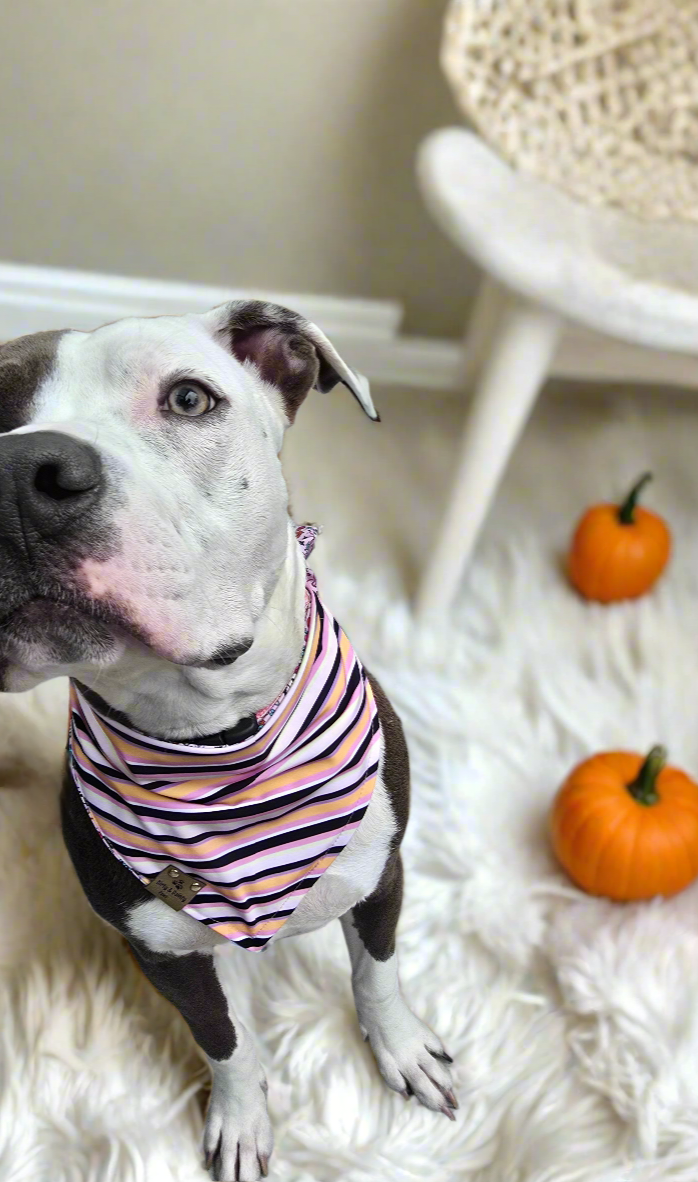 Cutesy Ghosts| Halloween Stripe ZoomieProof™ Reversible Scrunchie Bandana