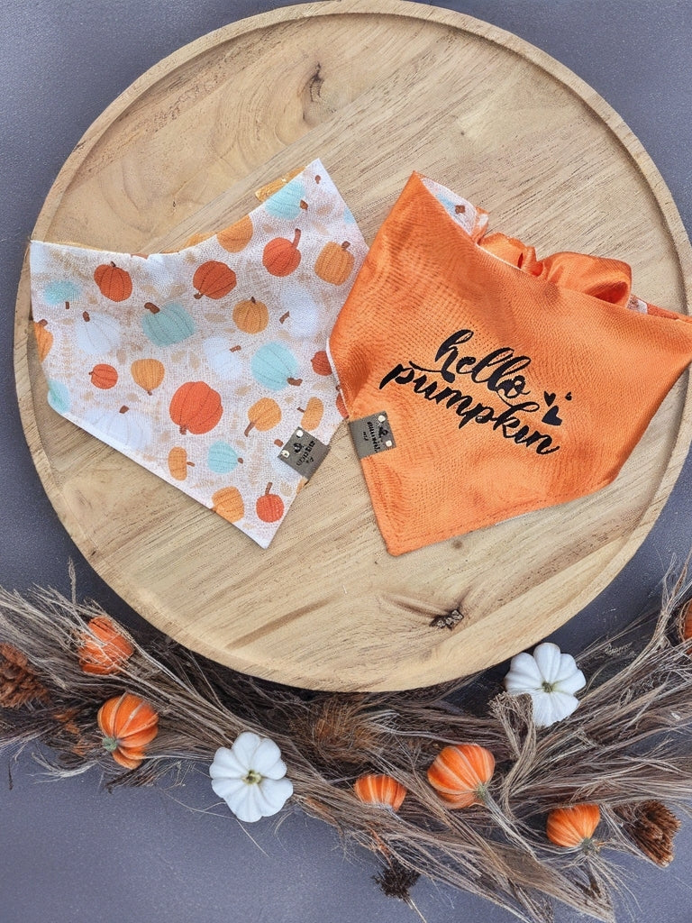 Boho Pumpkins| Hello Pumpkin| Dots| Cozy Cotton Reversible Scrunchie Dog Bandana