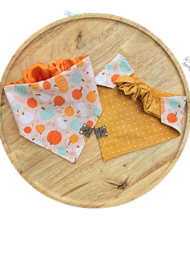 Boho Pumpkins| Hello Pumpkin| Dots| Cozy Cotton Reversible Scrunchie Dog Bandana