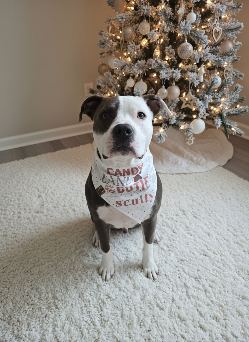Dog wearing a bandana with text in front of a decorated Christmas tree