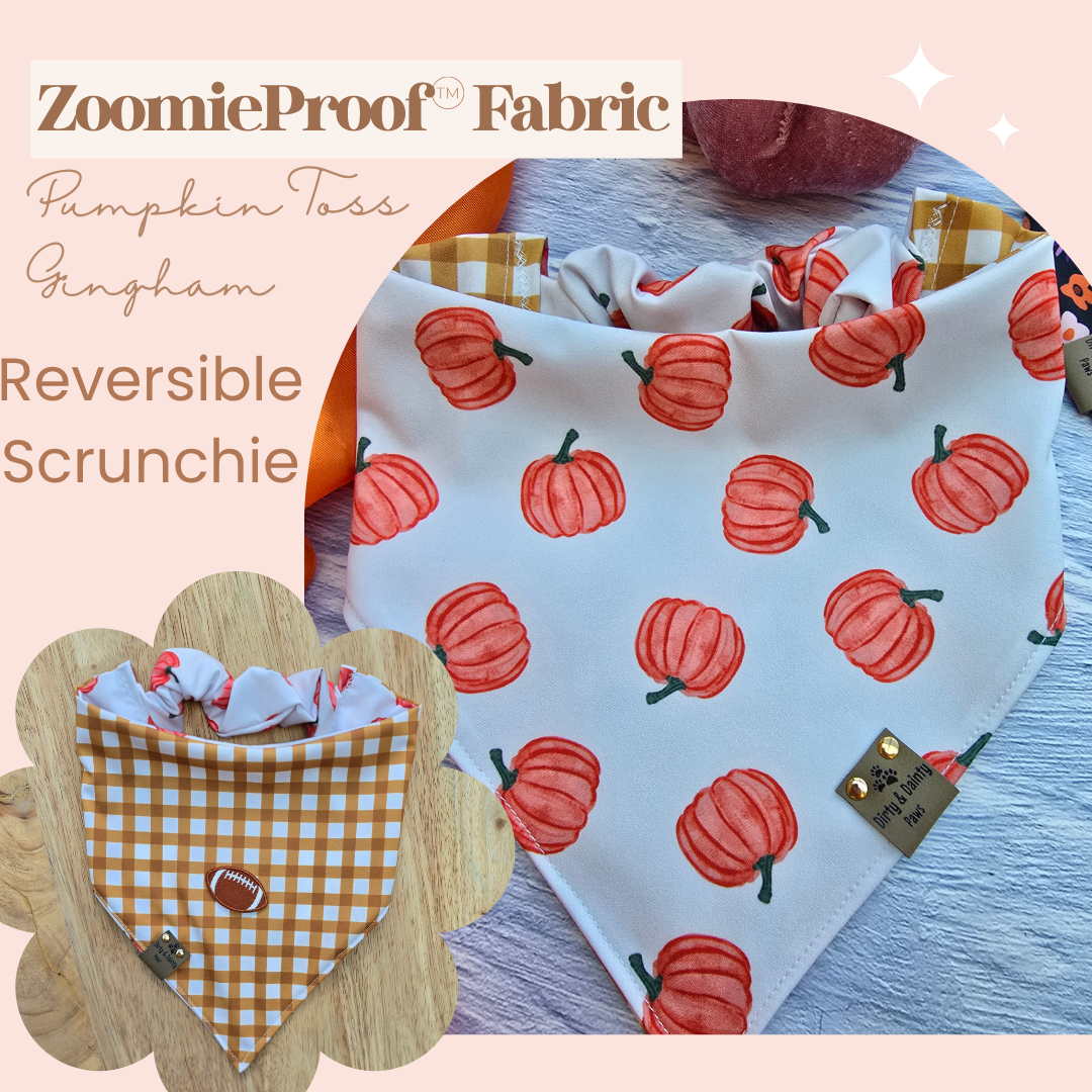 Pumpkin Toss| Plaid Reversible Scrunchie Dog Bandana